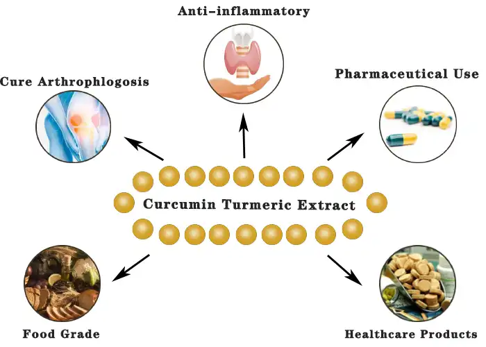 Curcumin Turmeric .jpg